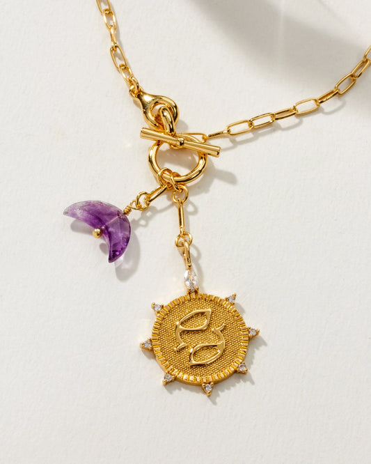 Lunar Front Toggle Necklace - Pisces + Amethyst