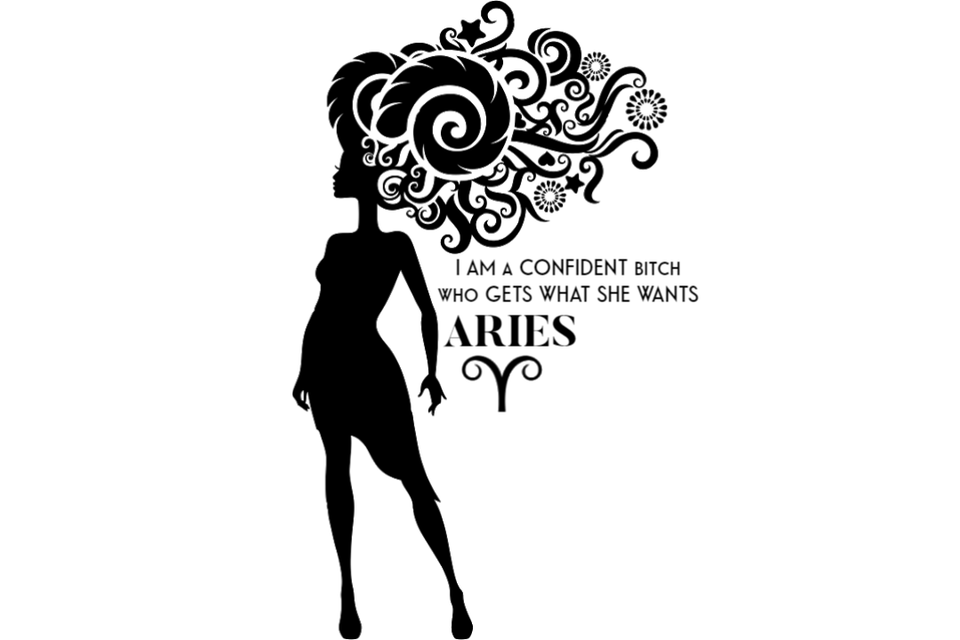 T-Shirt - Aries