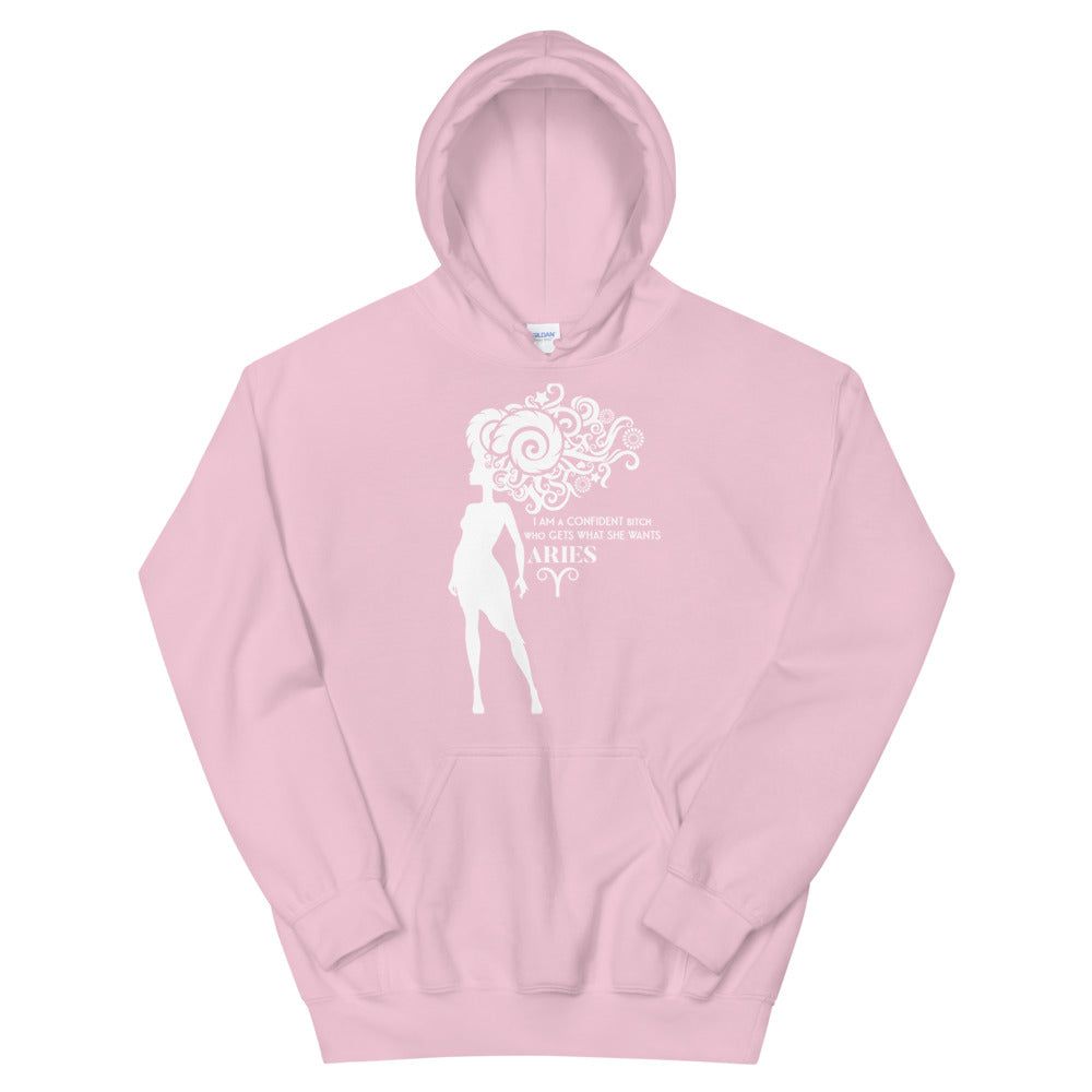 Hoodie - Aries