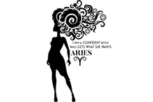 Load image into Gallery viewer, T-Shirt - Aries
