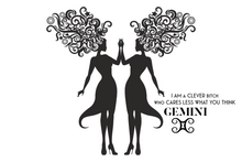 Load image into Gallery viewer, T-Shirt - Gemini
