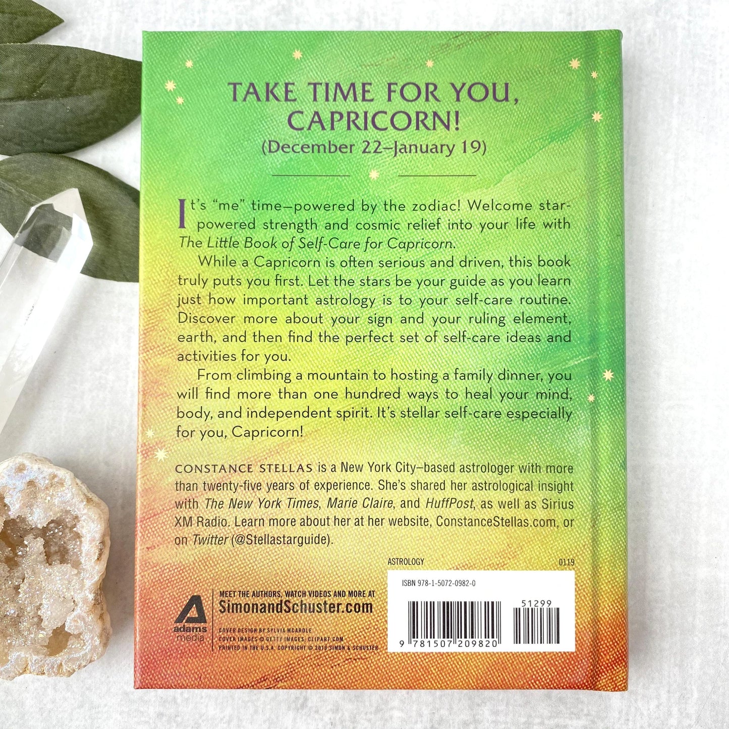 Little Book of Self-Care for Capricorn
